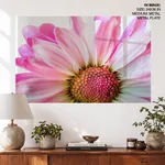 Pink flower