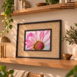 Pink flower