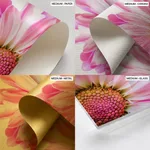 Pink flower
