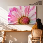 Pink flower