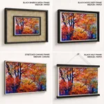 One Autumn in the forest