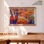 One Autumn in the forest