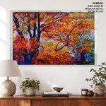 One Autumn in the forest