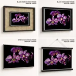 Purple flowers