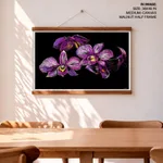 Purple flowers