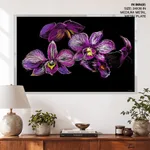 Purple flowers