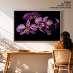 Purple flowers