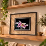 Rose pink flower