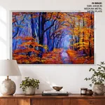 A walk in the forest