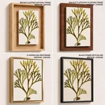 Seaweed 1