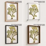 Seaweed 1
