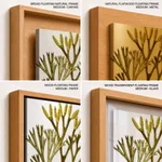 Seaweed 1