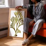 Seaweed 1