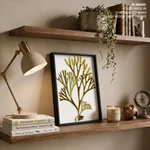 Seaweed 1