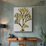 Seaweed 1