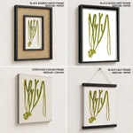 Sea weed 2