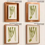 Sea weed 2