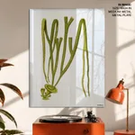 Sea weed 2