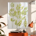 Seaweed 4