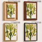 Seaweed 5