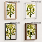 Seaweed 5