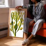 Seaweed 5