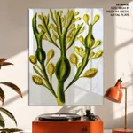 Seaweed 5