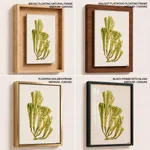 Seaweed 6