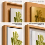 Seaweed 6