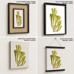 Seaweed 6