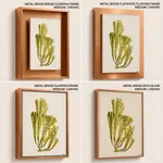 Seaweed 6