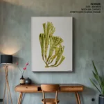 Seaweed 6