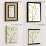 Seaweed 8