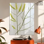 Seaweed 8