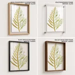 Seaweed 9