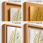 Seaweed 9