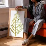 Seaweed 9