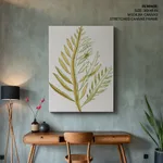 Seaweed 9