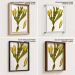 Seaweed 14
