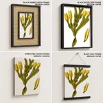Seaweed 14