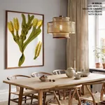 Seaweed 14