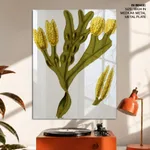 Seaweed 14