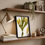 Seaweed 14