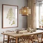 Seaweed 17