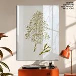 Seaweed 17