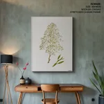 Seaweed 17