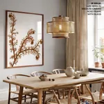 Seaweed 23