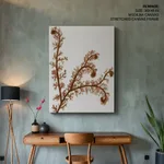 Seaweed 23