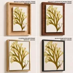 Seaweed 24