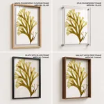 Seaweed 24